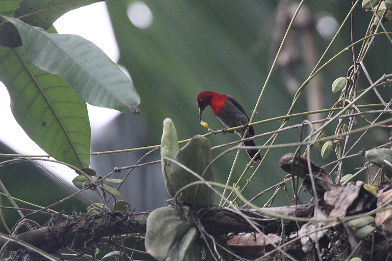 �L�S�V�^�C���E�`���E