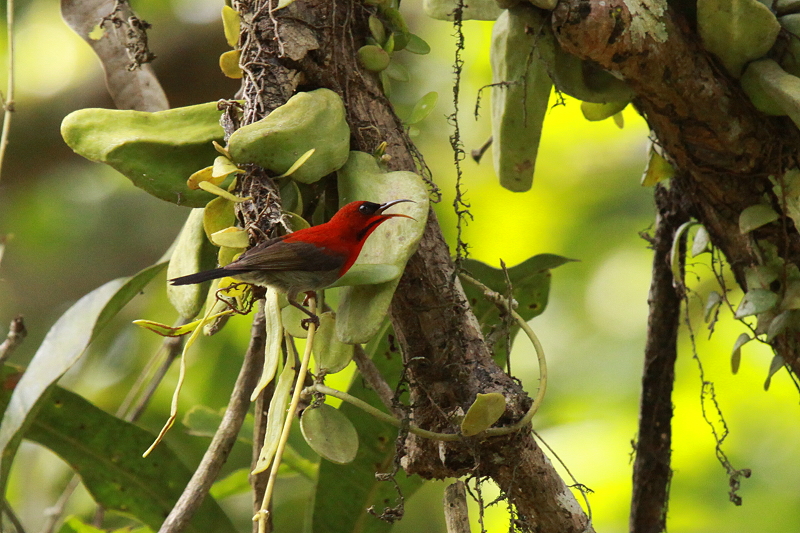 �L�S�V�^�C���E�`���E