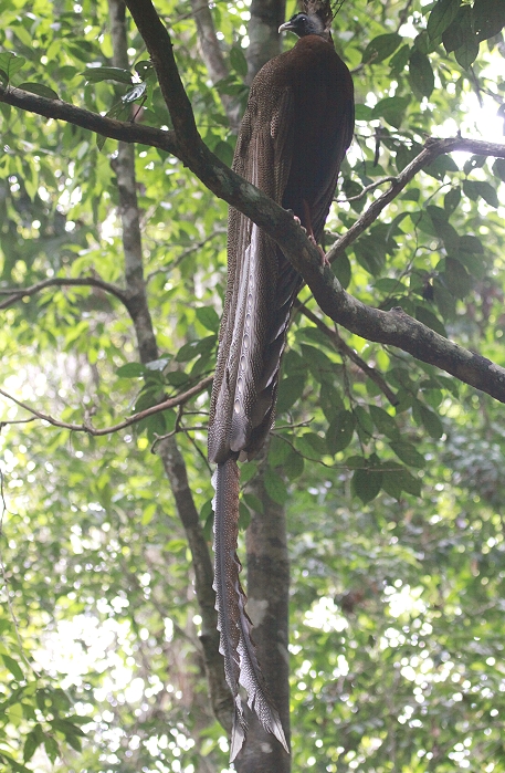 �Z�C����