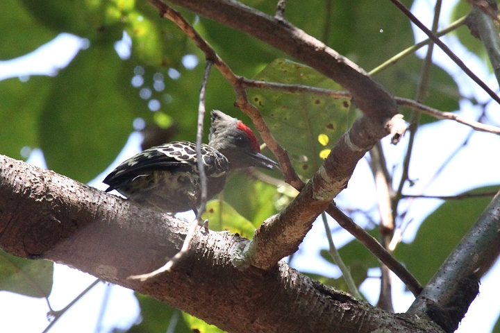 �J�������R�Q��