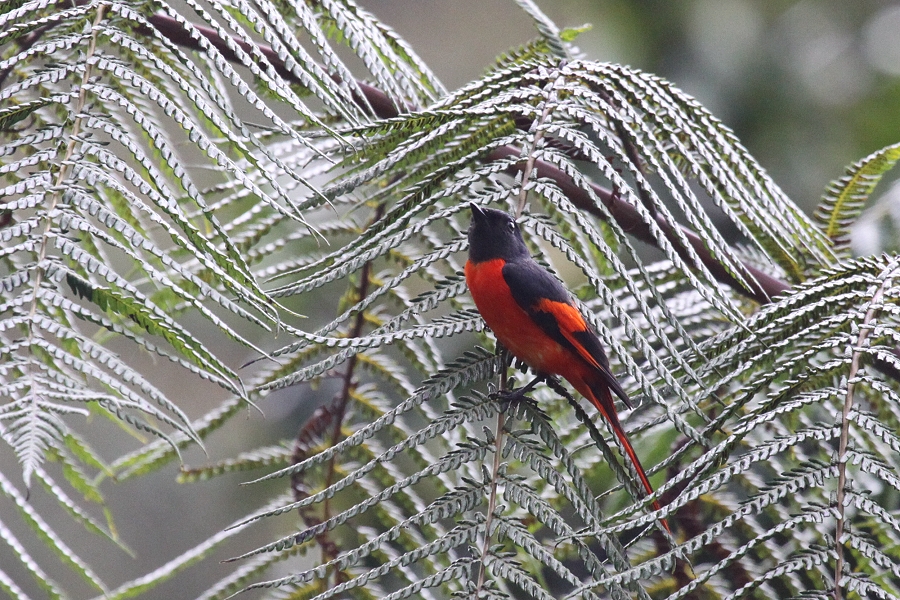 �x�j�T���V���E�N�C