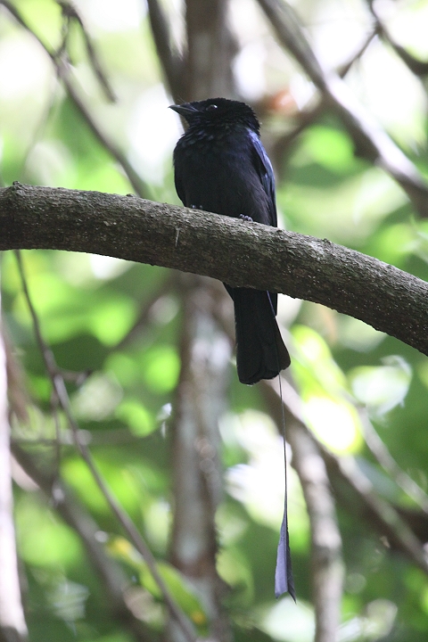 �q���J�U���I�E�`���E