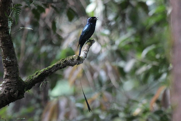 �q���J�U���I�E�`���E