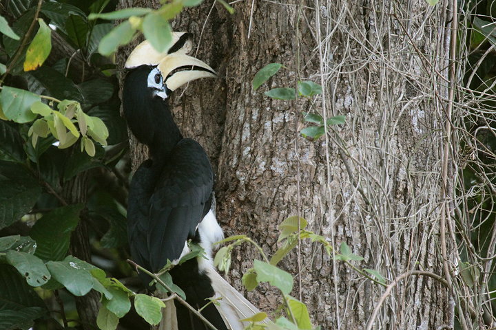 �L�^�J�T�T�M�T�C�`���E