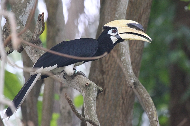 �L�^�J�T�T�M�T�C�`���E