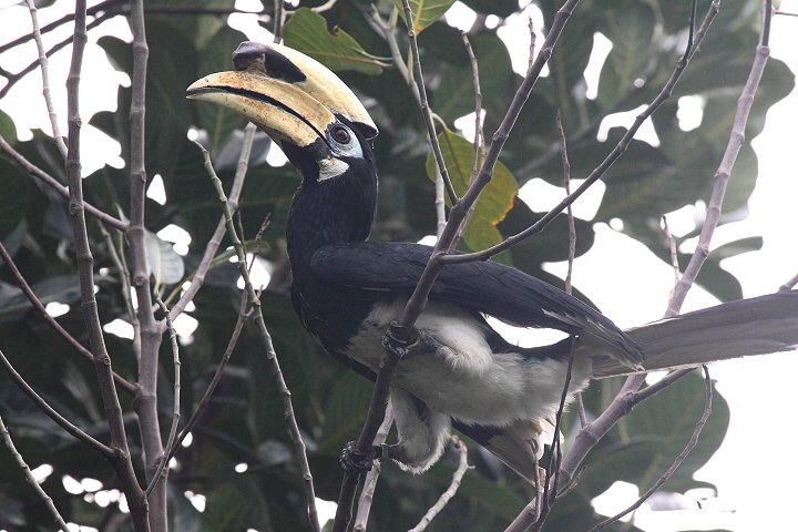 �L�^�J�T�T�M�T�C�`���E