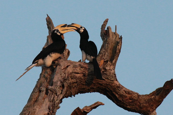 �L�^�J�T�T�M�T�C�`���E