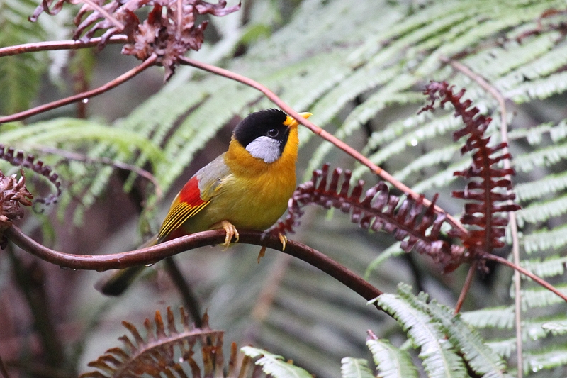 �S�V�L�\�E�V�`���E