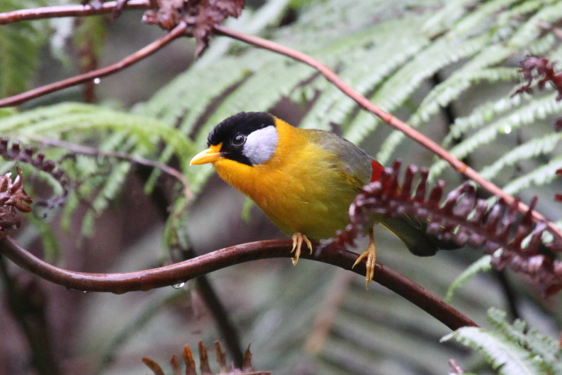 �S�V�L�\�E�V�`���E