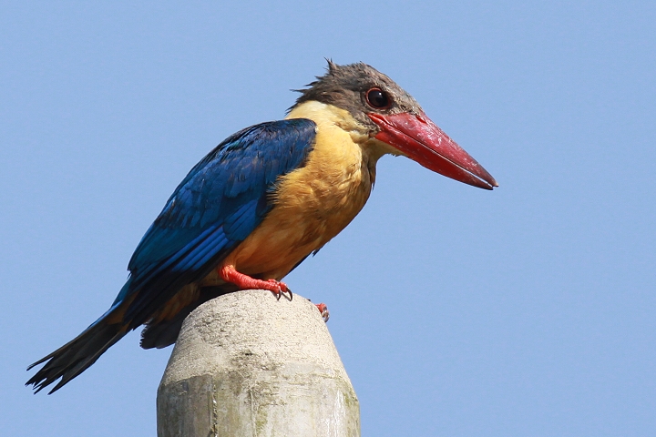 �R�E�n�V�V���E�r��