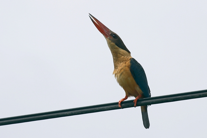 �R�E�n�V�V���E�r��