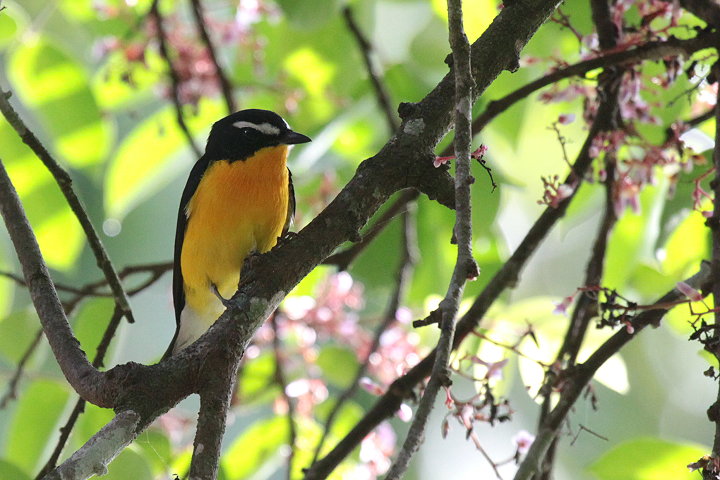 �}�~�W���L�r�^�L