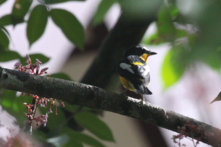 �}�~�W���L�r�^�L