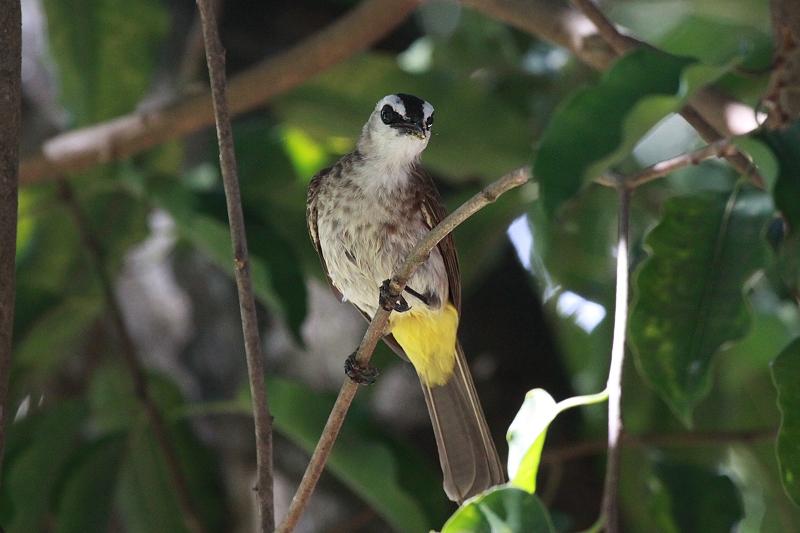 ���O���q���h��