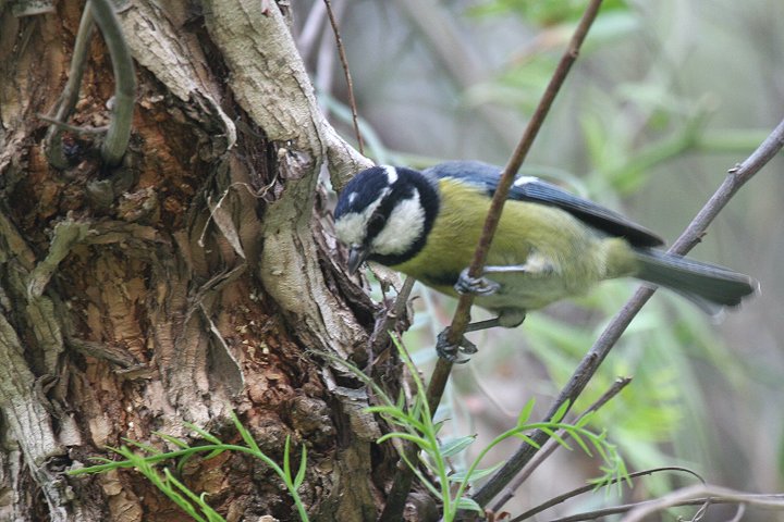 �A�I�K���i�k�A�t���J����j