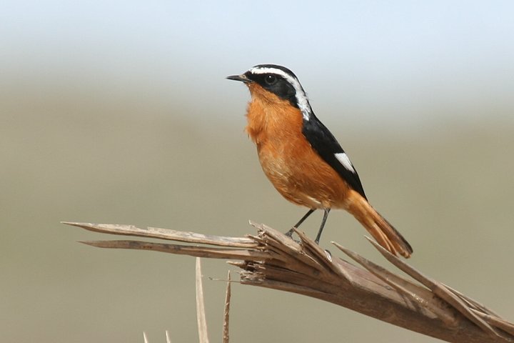 �n�`�}�L�W���E�r�^�L