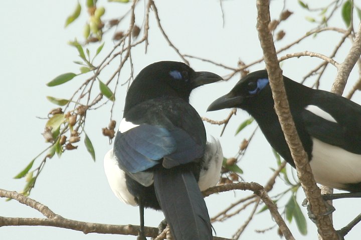 �J�T�T�M�i�k���A�t���J����j