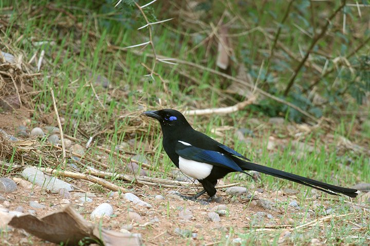 �J�T�T�M�i�k���A�t���J����j