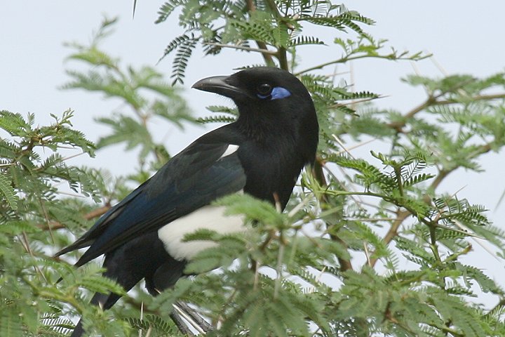 �J�T�T�M�i�k���A�t���J����j