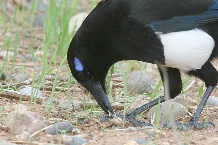 �J�T�T�M�i�k���A�t���J����j