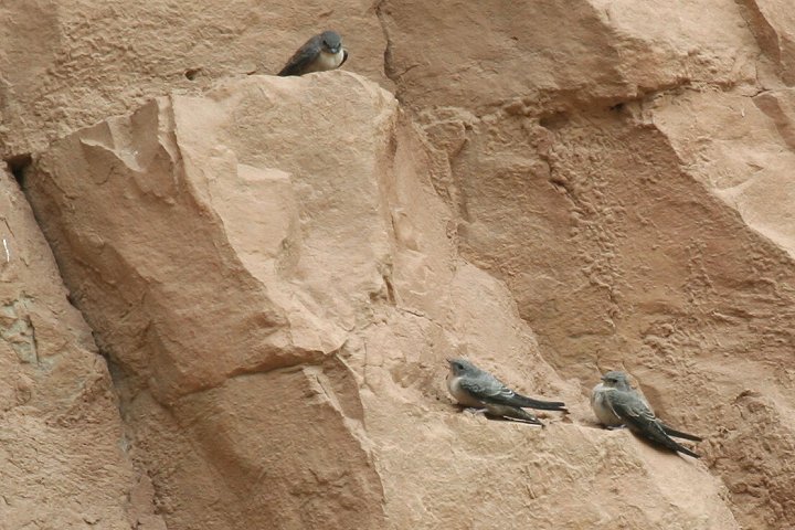 �`���C���c�o��