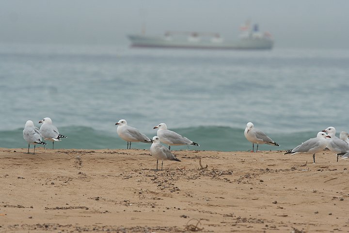 �A�J�n�V�J����