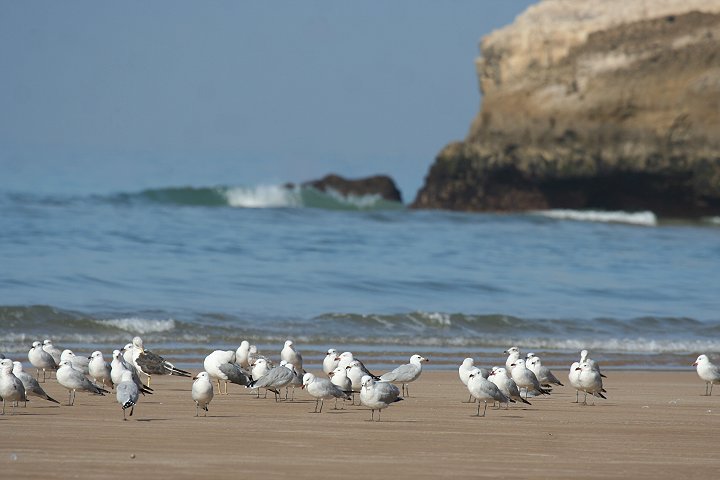 �A�J�n�V�J����