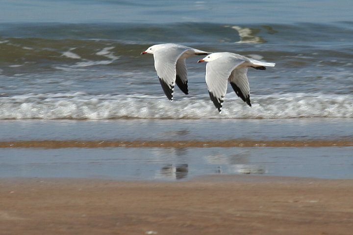 �A�J�n�V�J����