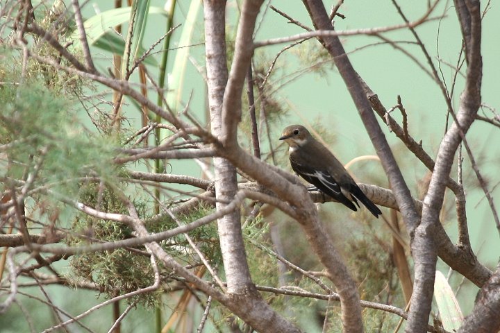 �}�_���q�^�L