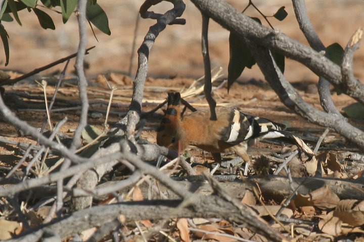 �A�t���J���c�K�V��