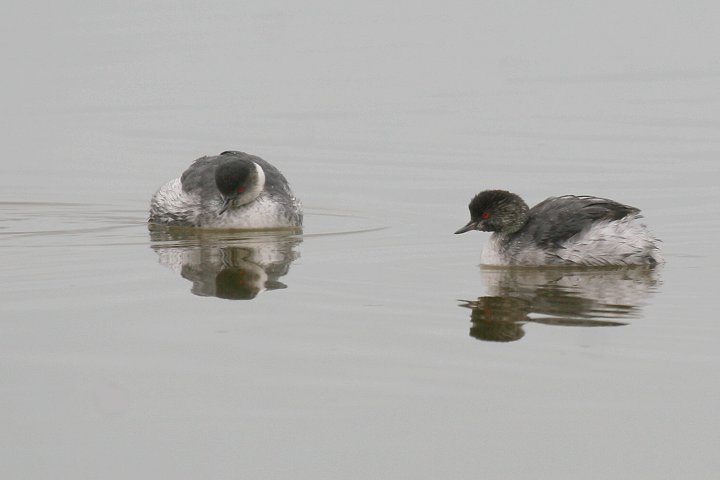 �n�W���J�C�c�u��