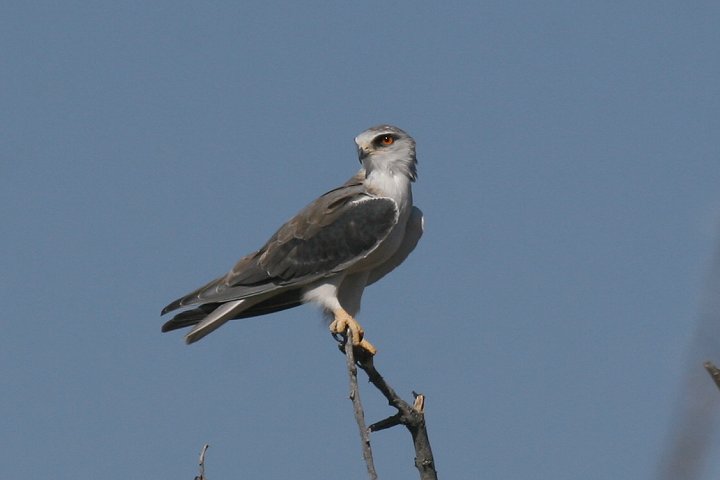 �J�^�O���g�r