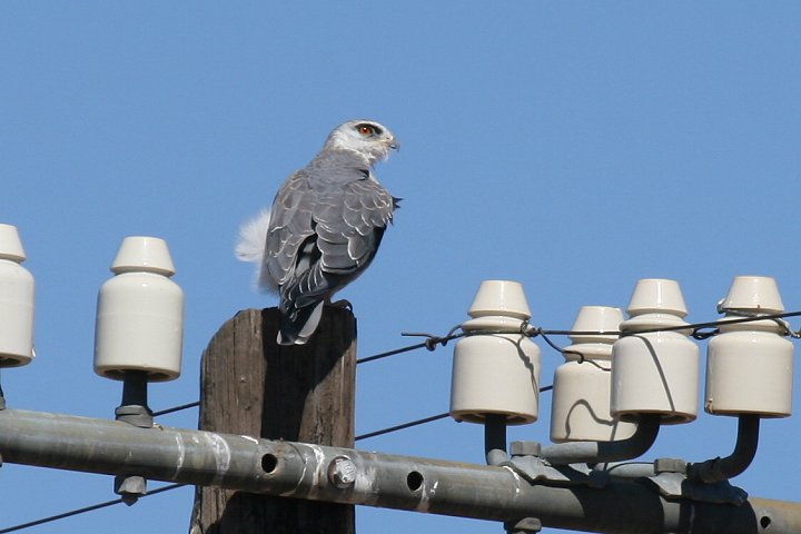 �J�^�O���g�r