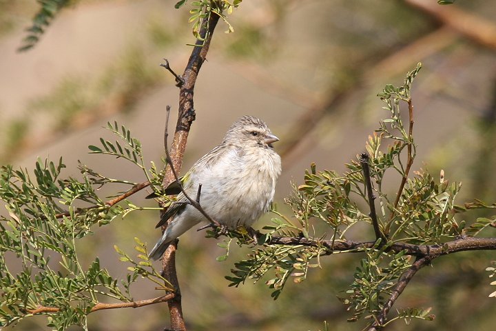 �~�i�~�L�S�V�J�i���A