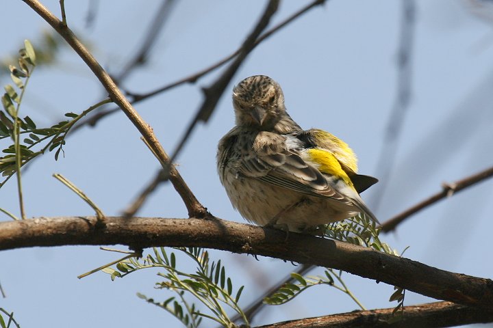 �~�i�~�L�S�V�J�i���A