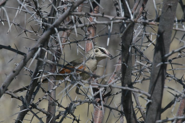 �`���K�V�����u���Y