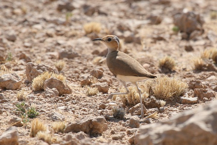 �~�i�~�X�i�o�V��