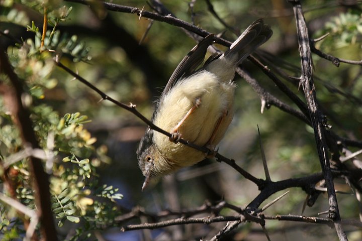 �A�J�I�r�q�����V�N�C