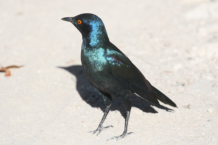 �A�J�K�^�e�����N