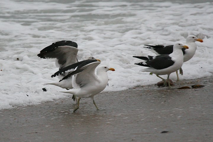 �~�i�~�I�I�Z�O���J�����̈���