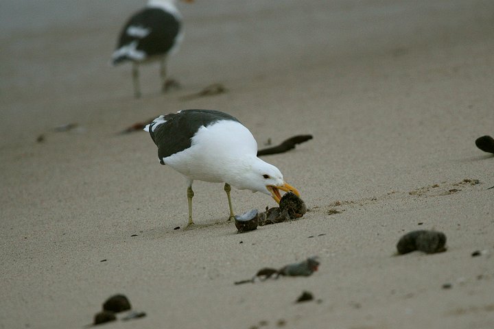 �~�i�~�I�I�Z�O���J�����̈���