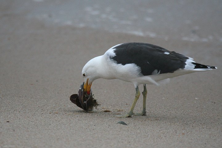 �~�i�~�I�I�Z�O���J�����̈���