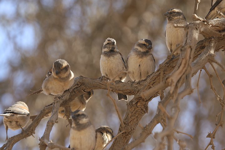 �z�I�O���X�Y��