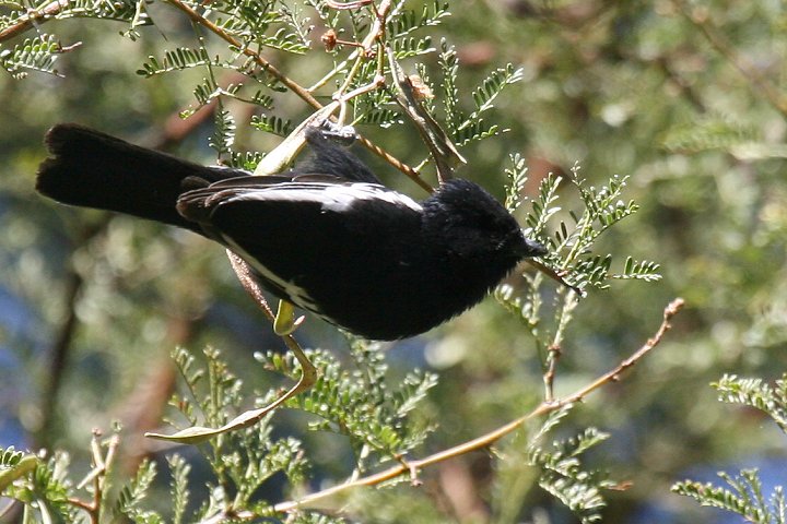 �i�~�r�A�N���K��