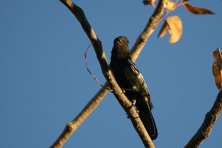 �i�~�r�A�N���K��