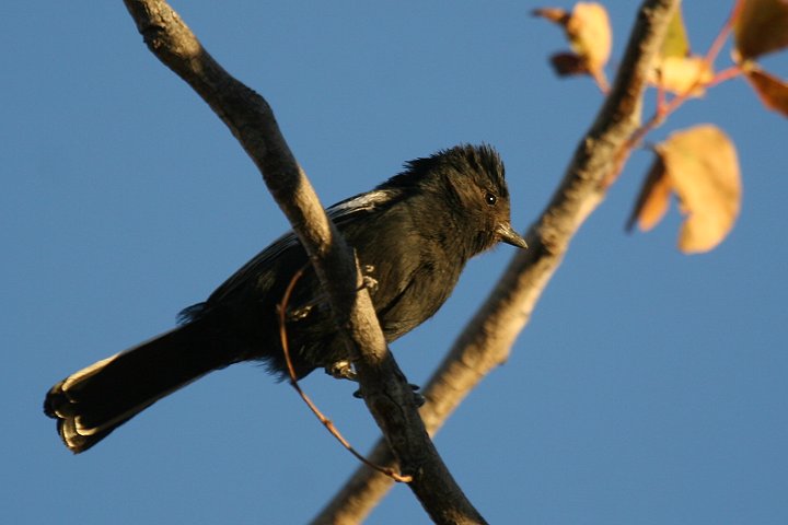 �i�~�r�A�N���K��