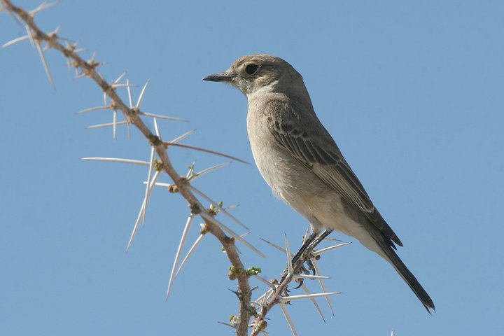 �I�I�`���r�^�L