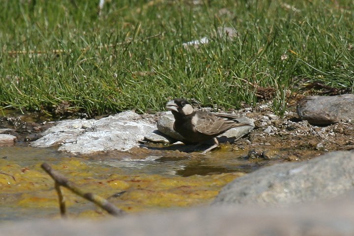 �z�I�W���X�Y���q�o��