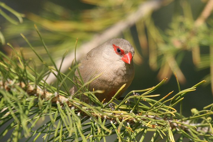 �I�i�K�J�G�f�`���E