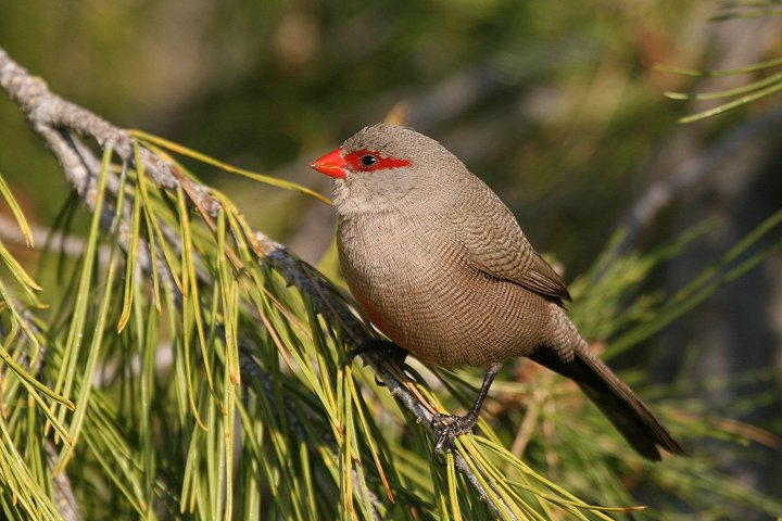 �I�i�K�J�G�f�`���E